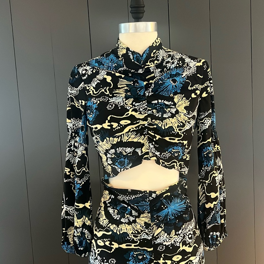 A.L.C crop silk blouse with paired high waisted silk skirt
